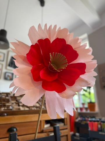 Papierblumen XXL